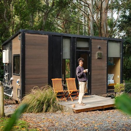 فيلا Pekapeka Tiny House By Tiny Away Owaka المظهر الخارجي الصورة